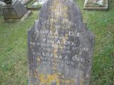 image of grave number 182931